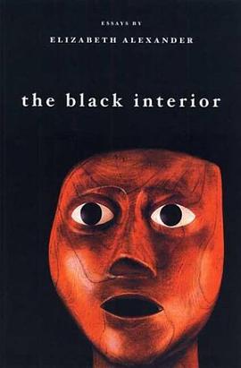 The Black Interior pdf epub mobi 电子书 下载