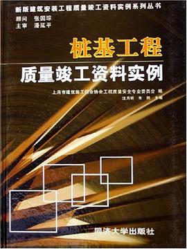 桩基工程质量竣工资料实例 pdf epub mobi 电子书 下载