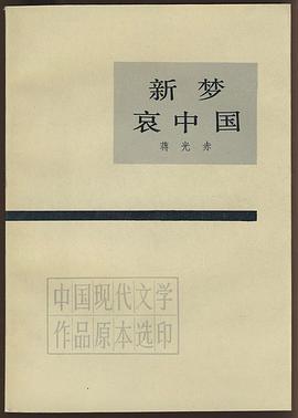 新梦 哀中国 pdf epub mobi 电子书 下载