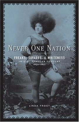 Never One Nation pdf epub mobi 电子书 下载
