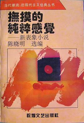抚摸的纯粹感觉 pdf epub mobi 电子书 下载