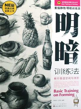 素描静物明暗训练法 pdf epub mobi 电子书 下载