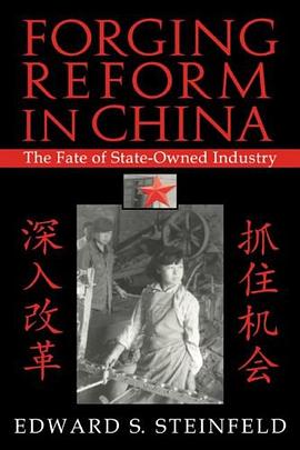 Forging Reform in China pdf epub mobi 电子书 下载