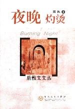 夜晚灼烫 pdf epub mobi 电子书 下载