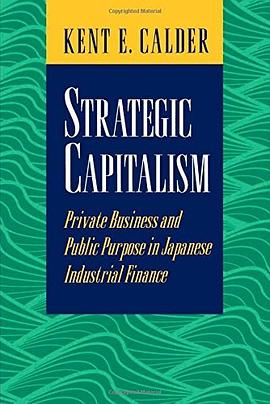 Strategic Capitalism pdf epub mobi 电子书 下载