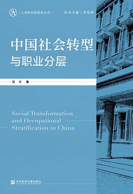 中国社会转型与职业分层 pdf epub mobi 电子书 下载