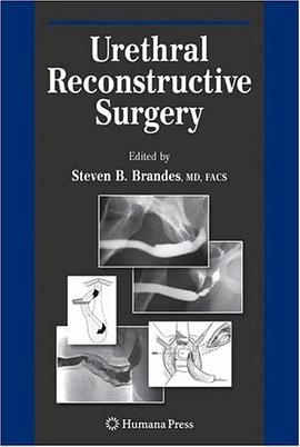 Urethral Reconstructive Surgery (Current Clinical Urology) pdf epub mobi 电子书 下载