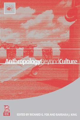 Anthropology Beyond Culture (Wenner Gren International Symposium Series) pdf epub mobi 电子书 下载