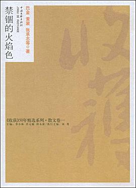 禁锢的火焰色 pdf epub mobi 电子书 下载