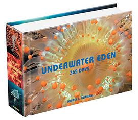 Underwater Eden pdf epub mobi 电子书 下载