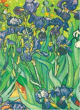 Van Gogh Notebook (Decorative Notebooks) pdf epub mobi 电子书 下载