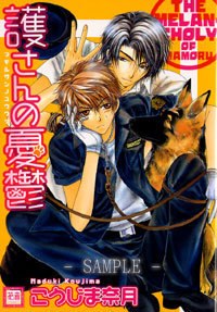護さんの憂鬱 pdf epub mobi 电子书 下载