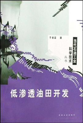 低渗透油田开发 pdf epub mobi 电子书 下载