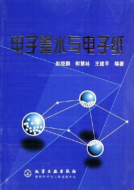 電子墨水與電子紙 pdf epub mobi 電子書 下載