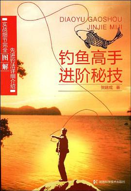 钓鱼高手进阶秘技 pdf epub mobi 电子书 下载