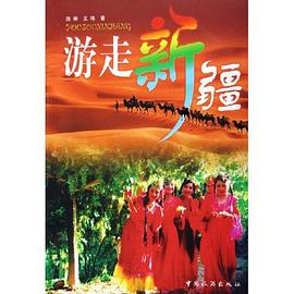 游走新疆 pdf epub mobi 电子书 下载