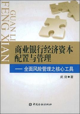 商业银行经济资本配置与管理 pdf epub mobi 电子书 下载