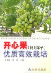 开心果 pdf epub mobi 电子书 下载