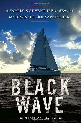 Black Wave pdf epub mobi 电子书 下载