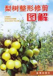 梨树整形修剪图解 pdf epub mobi 电子书 下载