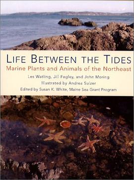 Life Between the Tides pdf epub mobi 电子书 下载