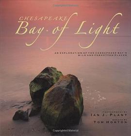 Chesapeake - Bay of Light pdf epub mobi 电子书 下载
