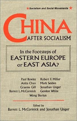 China After Socialism pdf epub mobi 电子书 下载
