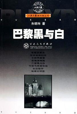 巴黎黑与白/小说月报新大陆丛书