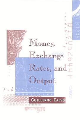 Money, Exchange Rates, and Output pdf epub mobi 电子书 下载