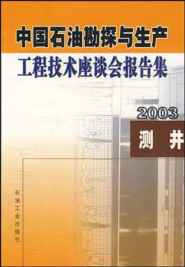 中国石油勘探与生产工程技术座谈会报告集 pdf epub mobi 电子书 下载