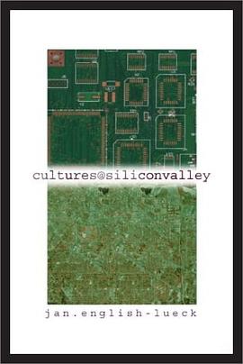 Cultures@SiliconValley pdf epub mobi 电子书 下载