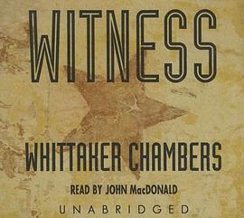 Witness pdf epub mobi 电子书 下载
