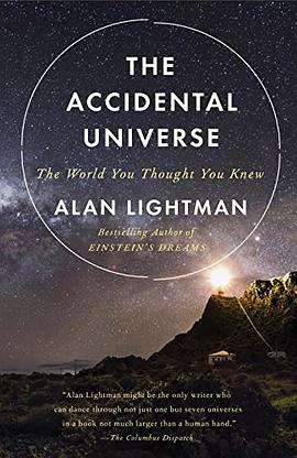 The Accidental Universe pdf epub mobi 电子书 下载