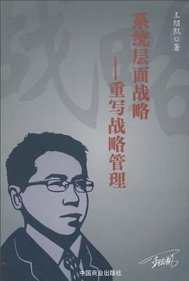 係統層麵戰略 pdf epub mobi 電子書 下載