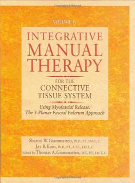 Integrative Manual Therapy for the Connective Tissue System pdf epub mobi 电子书 下载