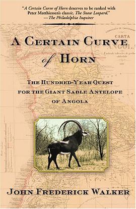 A Certain Curve of Horn pdf epub mobi 电子书 下载