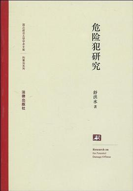 危险犯研究 pdf epub mobi 电子书 下载