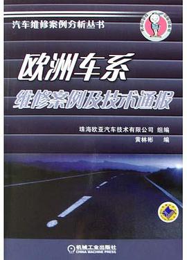 欧洲车系维修案例及技术通报 pdf epub mobi 电子书 下载