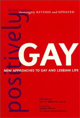 Positively Gay pdf epub mobi 电子书 下载