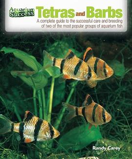 Tetras and Barbs (Aquarium Success)