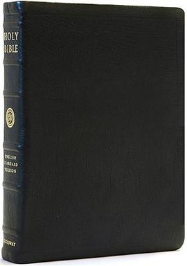Holy Bible pdf epub mobi 电子书 下载