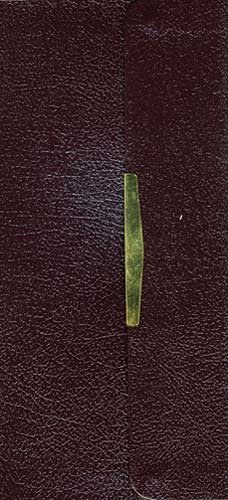 Holy Bible pdf epub mobi 电子书 下载