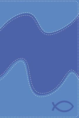 Holy Bible pdf epub mobi 電子書 下載