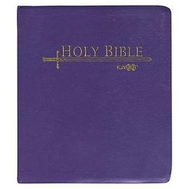 Holy Bible pdf epub mobi 电子书 下载