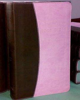 Holy Bible pdf epub mobi 电子书 下载