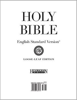 Holy Bible pdf epub mobi 电子书 下载