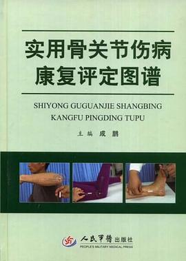 实用骨关节伤病康复评定图谱 pdf epub mobi 下载