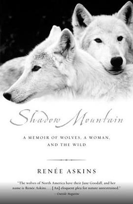 Shadow Mountain pdf epub mobi 电子书 下载