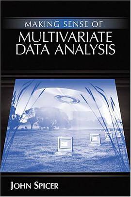 Making Sense of Multivariate Data Analysis pdf epub mobi 下载