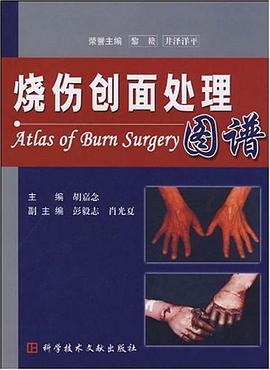 烧伤创面处理图谱 pdf epub mobi 电子书 下载